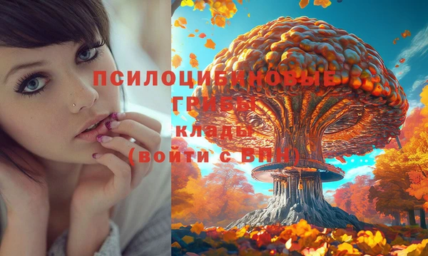 гашик Лиски