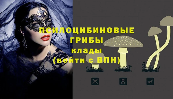 PSILOCYBIN Липки