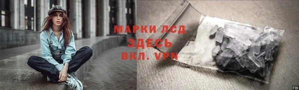 PSILOCYBIN Липки