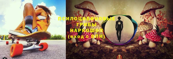 гашик Лиски