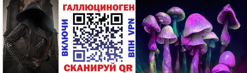 наркота  Томск  Галлюциногенные грибы мицелий 