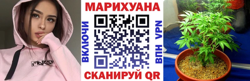 Бошки Шишки семена  блэк спрут зеркало  Томск 